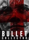 Bullet Collector (2011)2.jpg